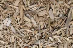 biomass boilers Doughton